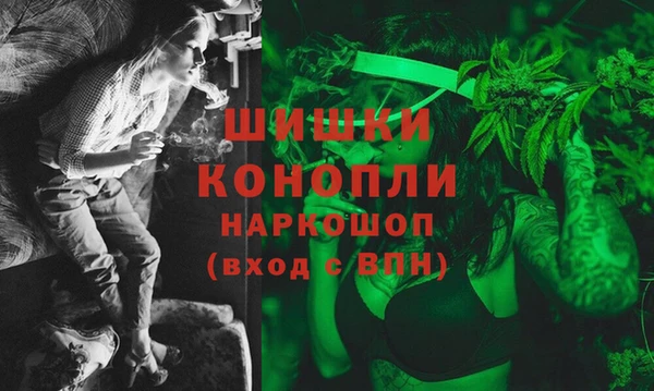 дурь Алзамай